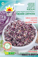 kielki_kapusta_czerwona_wzor_F.png