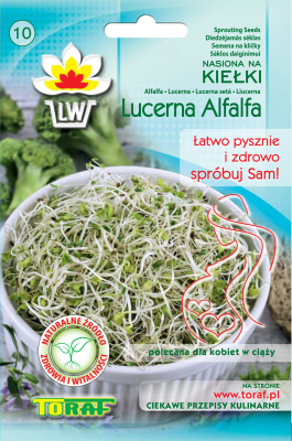 Nasiona na kiełki Lucerna Alfafla 20gr