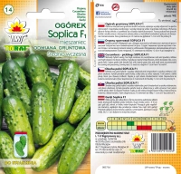ogorek Soplica LW-xxxx-19-gc.jpg
