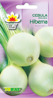 cebula hiberna-LW-589-15-rola_F.png