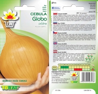 cebula globo-LW-658-16.jpg