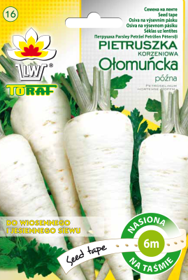 Pietruszka ołomuńcka późna na taśmie 6m