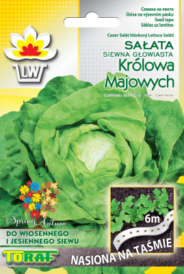 Nasiona na taśmie Sałata głowiasta Królowa Majowych 6m