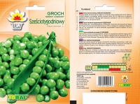 groch szesciotygodniowy LW- 13 -rola.jpg