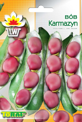 Bób średnio wczesny Karmazyn 30gr