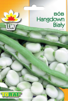 bob hangdown-LW-6-15-g_F.png