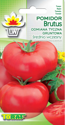Pomidor Malinowy Brutus - owoce do 2kg
