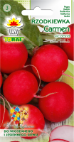 rzodkiewka carmen-lw-47-19-gc_F.png