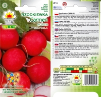 rzodkiewka carmen-lw-47-19-gc.jpg