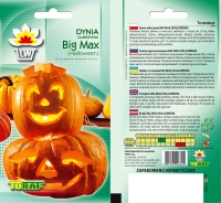 dynia big max-LW-577-13-rola.jpg