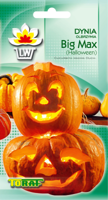 Dynia olbrzymia Big Max 4gr Helloween