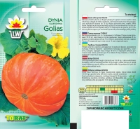 dynia Golias-LW-630-13-rola.jpg