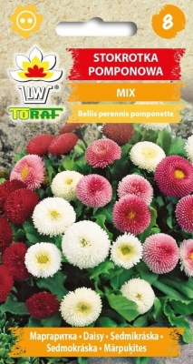 Stokrotka pomponowa mix 0,2gr