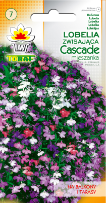 Lobelia zwisająca Cascade nasiona kwiatów