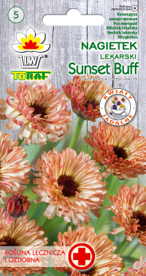 Nagietek lekarski Sunset Buff 1g nasiona kwiatów