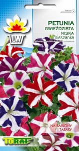 Petunia niska gwieździsta 0,1g nasiona kwiatów