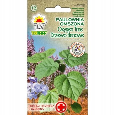 Paulownia omszona - drzewo tlenowe 0,1g