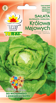 Sałata masłowa Królowa Majowych 2g