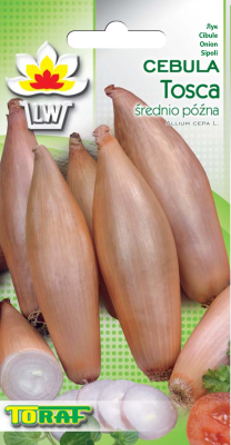 Cebula średnio późna Tosca 2g