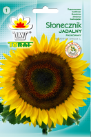 slonecznik paskow-LW99-19-rola.qxp_F.png