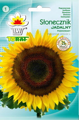 Słonecznik jadalny paskowany gruby 10g