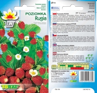 poziomka rugia-LW-342-16.jpg