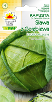 kap gl b slawa z golebiewa lw-842-19-gc_F.png