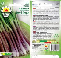 cebula siedmiolatka red toga-LW--16-gc2.jpg