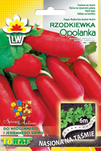Rzodkiewka wczesna Opolanka na taśmie 6m