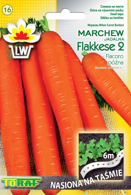 Marchew Flakkese 2 Flacoro późna na taśmie 6m