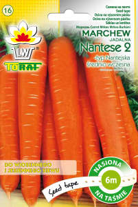 Marchew Nanteise 2 Taśmia 6m