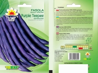 fasola purple teepee-LW-588-13-rola.jpg