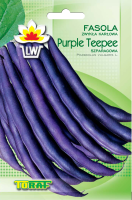 fasola purple teepee-LW-588-13-rola_F.png