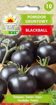 Pomidor gruntowy wysoki Blackball 0,3g