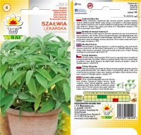 szalwia lekarska-lw-234-19-gc.jpg