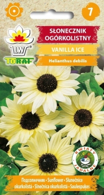Słonecznik ozdobny Vanilla Ice 0,5g