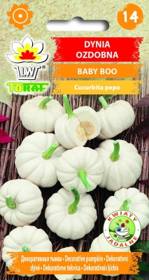 Dynia ozdobna Baby Boo 2gr