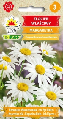 Margaretka Złocień 1g