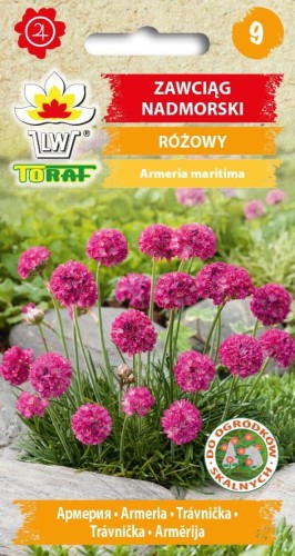 zawciag-nadmorski-rozowy.2_f.jpg