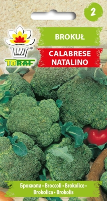 Brokuł Calabrese Natalino średnio późny1g