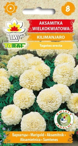 aksamitka-wielkokwiatowa-kilimanjaro_f.jpg