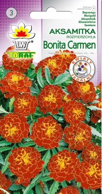 Aksamitka rozpierzchła Bonita Carmen 1g