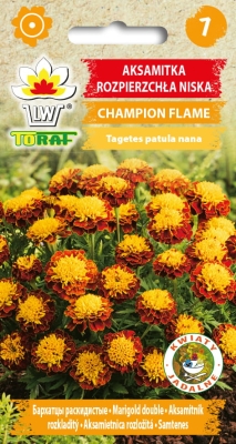 Aksamitka rozpierzchła Champion Flame 0,5g