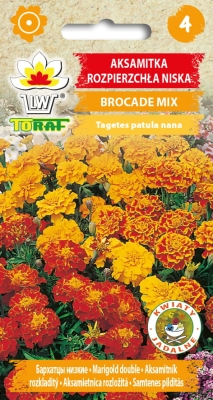 Aksamitka rozpierzchła Brocade 1g