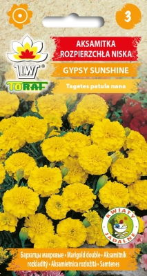Aksamitka rozpierzchła Gipsy Sunshine 1g