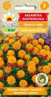 Aksamitka rozpierzchła Orange Flame 1g
