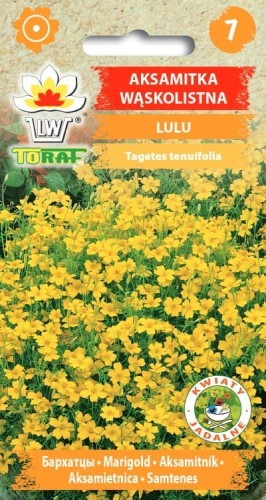 aksamitka-waskolistna-lulu_f.jpg