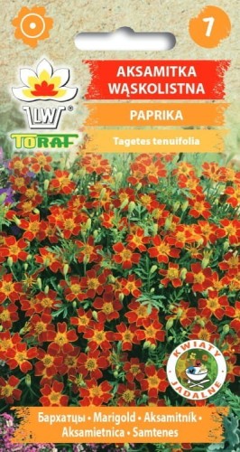 aksamitka-waskolistna-paprika_f.jpg