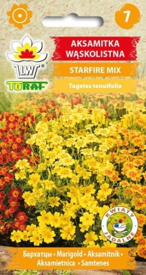 Aksamitka wąskolistna Starfire Mix 0,5g