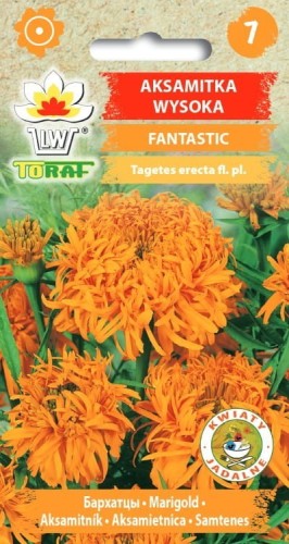 aksamitka-wysoka-fantastic-pomaranczowa_f.jpg
